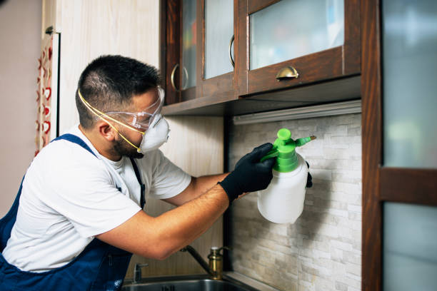Best Insect Control  in Voorheesville, NY