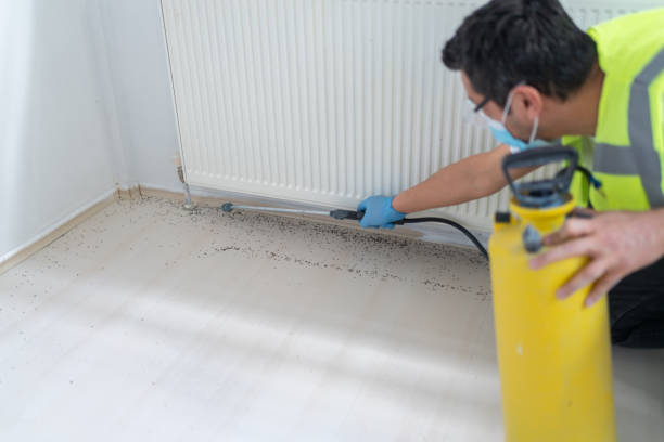 Best Best Pest Control Companies  in Voorheesville, NY